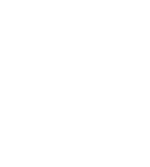 District Election Officer Logo
